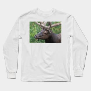 Royal in Summer Long Sleeve T-Shirt